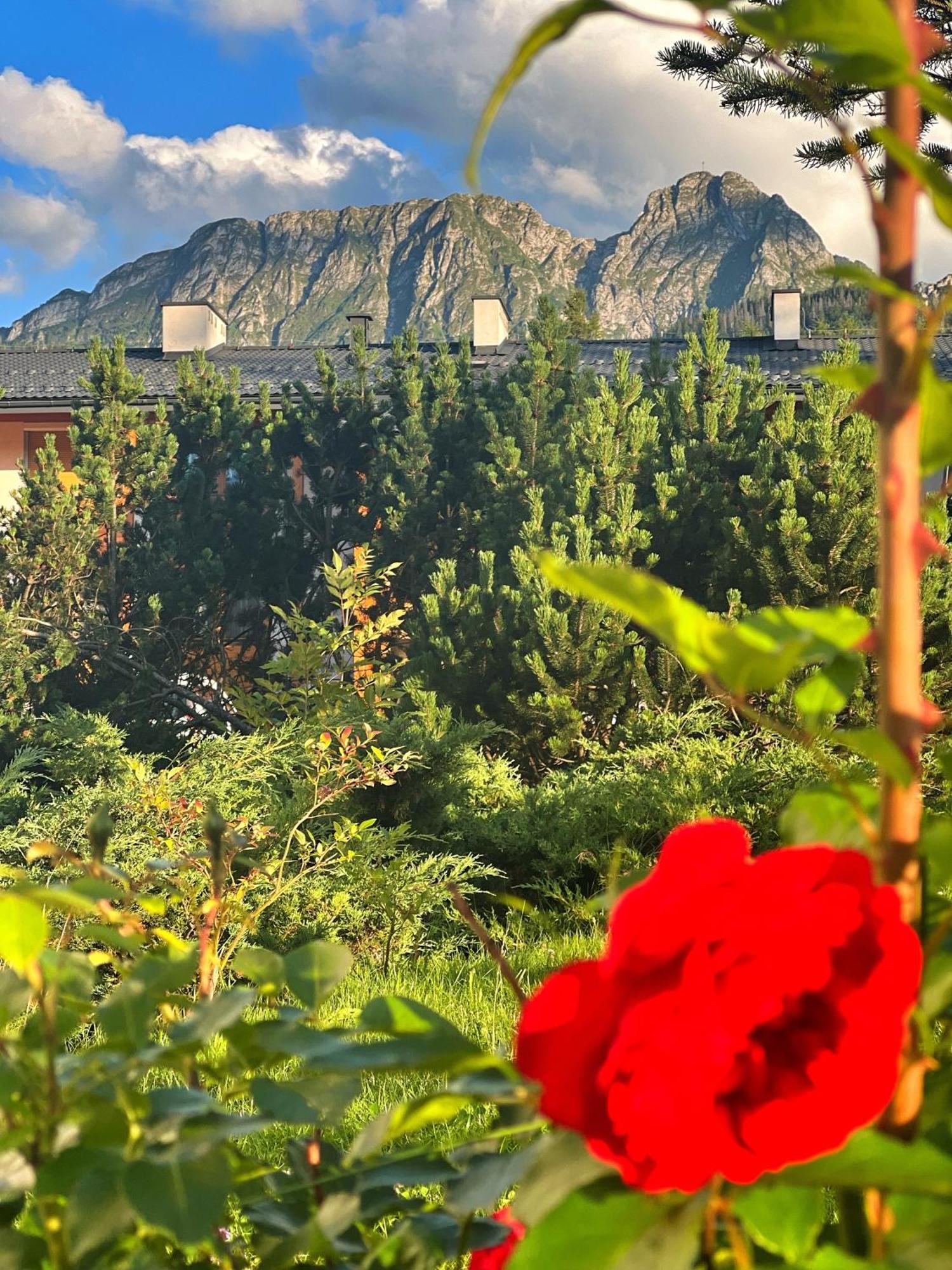 Apartament Lesny Z Kominkiem - Viva Pod Giewontem Apartamenty Zakopane Exteriör bild